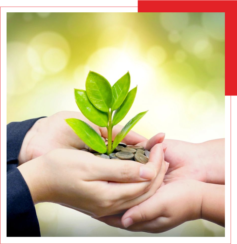 Two individuals holding a small plant growing out of a pile of coins, symbolizing investment and growth.